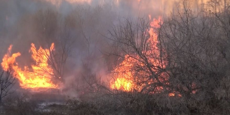Ormanlık alanda çıkan yangını itfaiye ağaçlara sıçramadan söndürdü