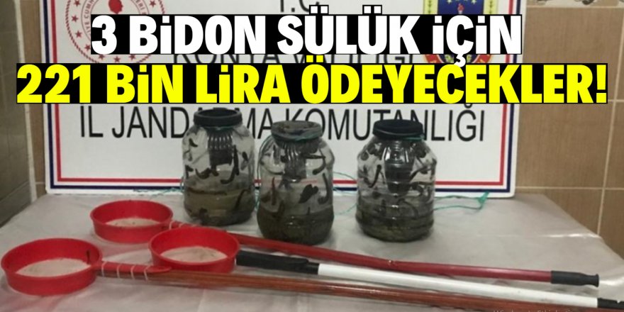 Sülük avcılarına 221 bin lira ceza!