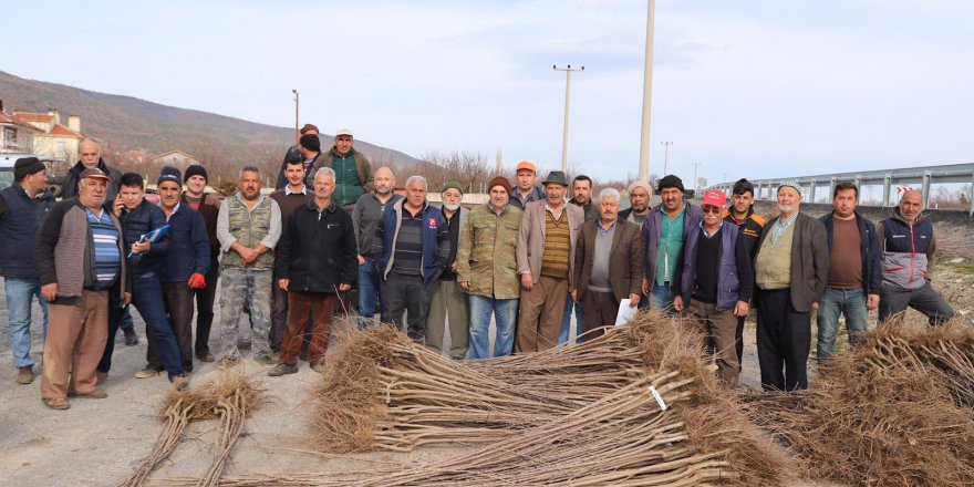 Büyükşehirden çiftçiye fidan desteği