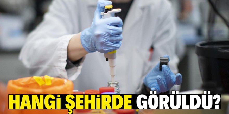 Türkiye’de görülen ilk corona virüsü hangi şehirde?