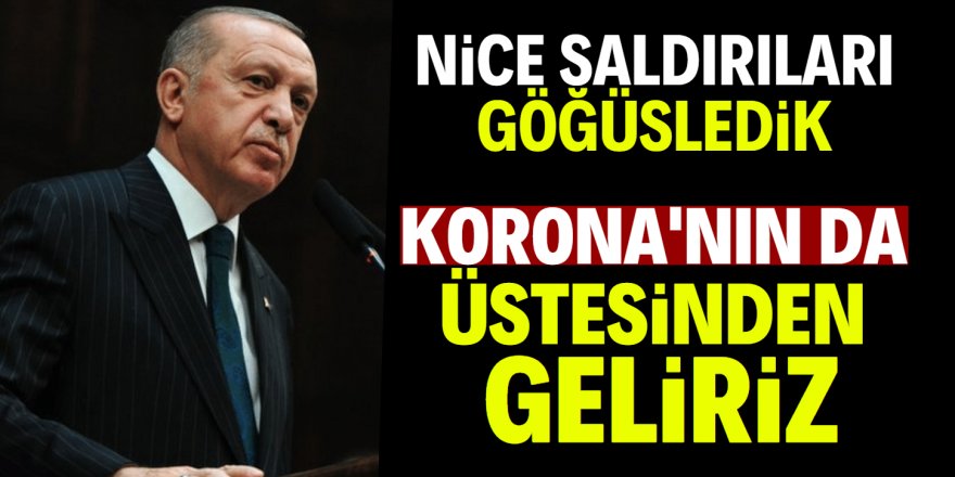 Erdoğan'dan koronavirüs açıklaması: Salgın değil tek bir örnek