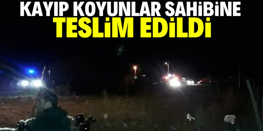 Konya’da kayıp koyunları jandarma bulup sahibine teslim etti