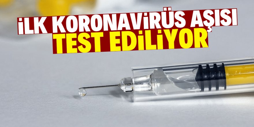 İlk koronavirüs aşısı test ediliyor