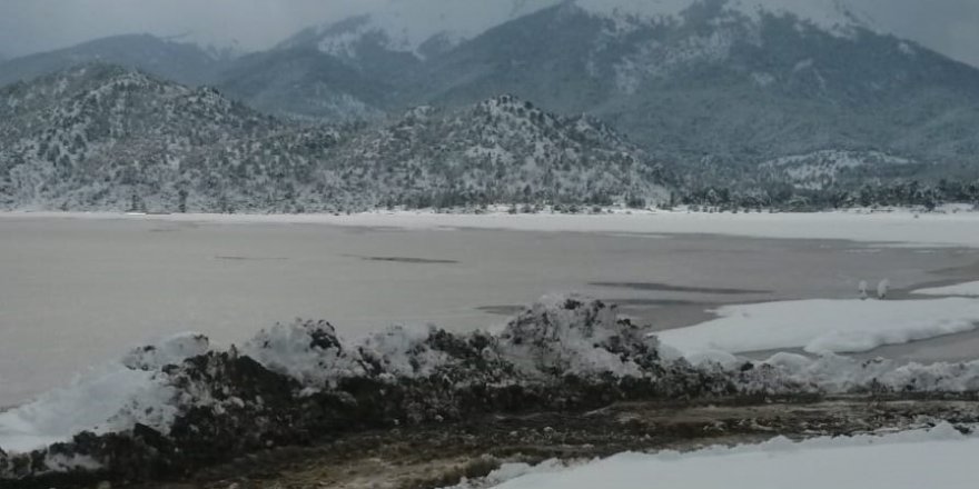 Yaylada mahsur kalan çobanlar kurtarıldı