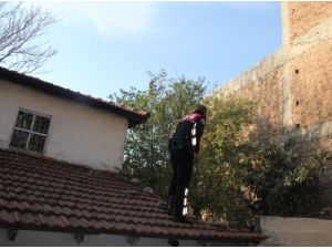 Adliyeden Kaçan Kelepçeli Zanlı Polis Ekiplerini Harekete Geçirdi