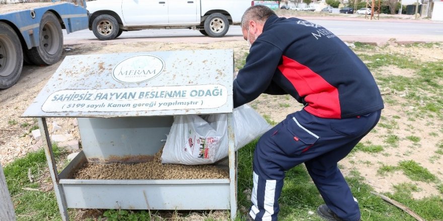 “Evde kalan hayvanseverlerin aklı sokak hayvanlarında kalmasın”