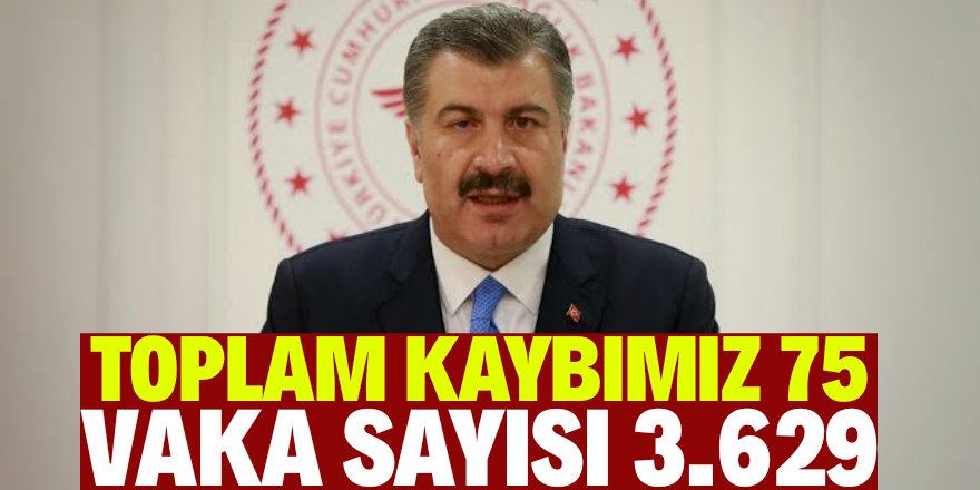 Bakan Koca: 1196 yeni tanı var