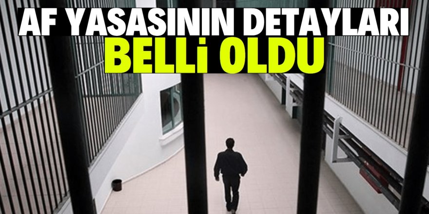 Af yasasının detayları belli oldu! 4 suçun affı olmayacak