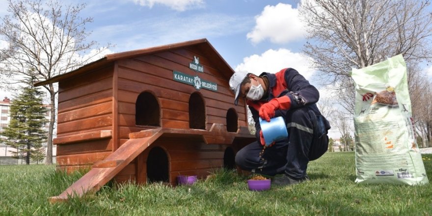 Karatay’da sokak hayvanları unutulmuyor