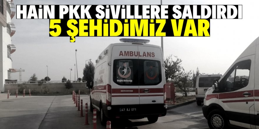 PKK köylülere saldırdı: 5 şehit