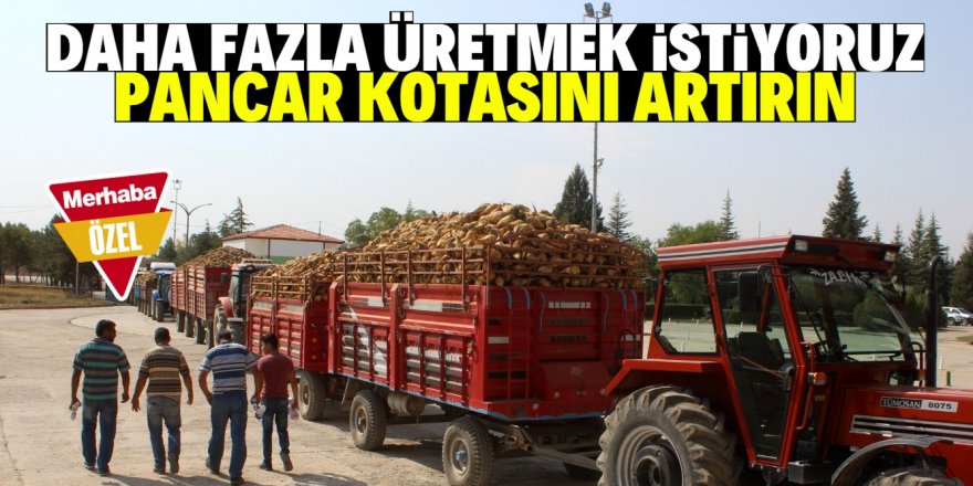 Hükümete pancarda kotayı artırın çağrısı