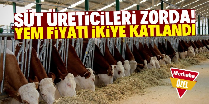 Yem sanayicileri krizi fırsata çevirdi!