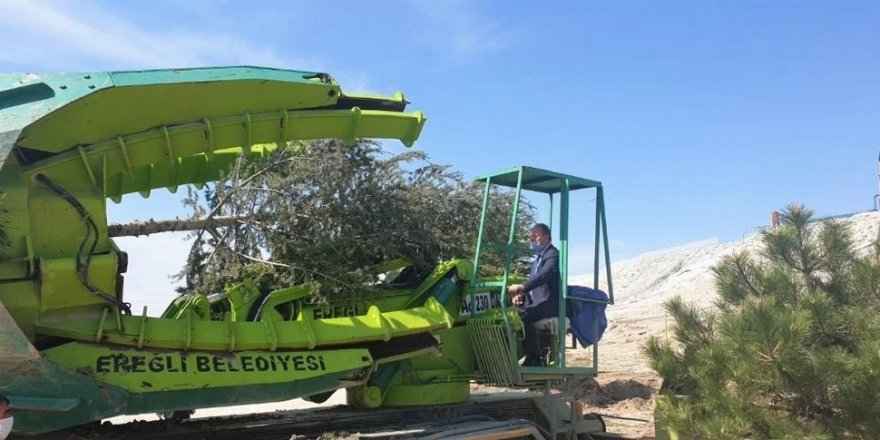 Başkan Oprukçu: “Ağaç dikmek bizim işimiz”