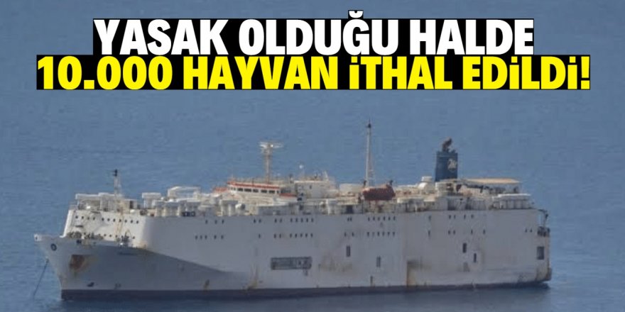 10 bin hayvan ithalatı bilginiz dahilinde mi yapıldı?