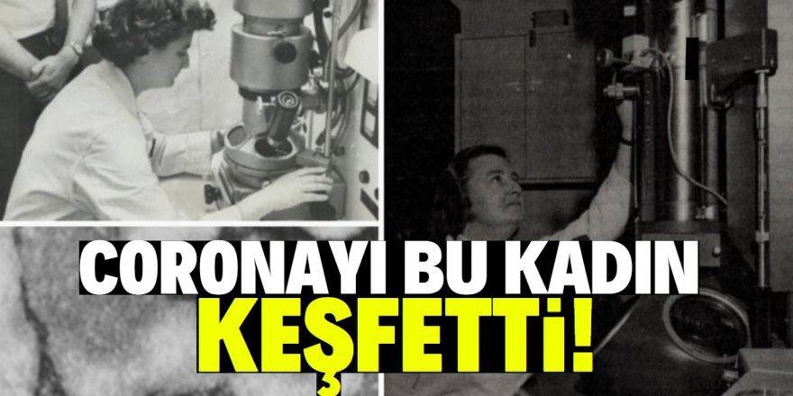 Koronavirüs ilk kez bu tarihte keşfedildi!