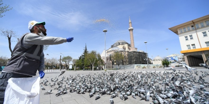 Sokağa çıkma kısıtlamasında sokak hayvanları unutulmuyor