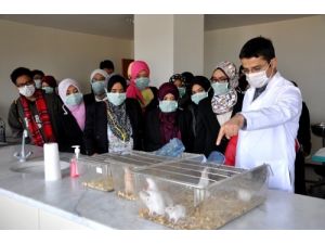 Aibü, Malezyalı Öğrencileri Ağırladı