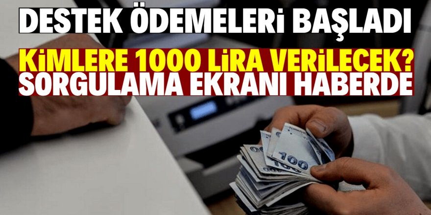 1000 lira nakit destek ödemeleri başladı!