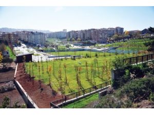 Öveçler Vadisi Bitmek Üzere