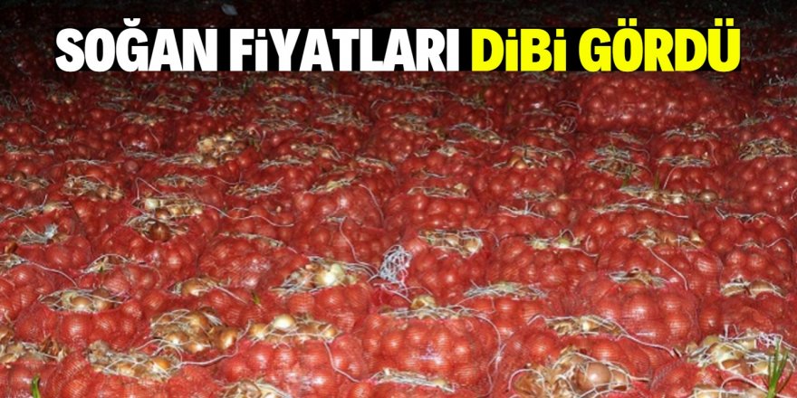 Kilosu 1 liraya düştü çiftçi isyan etti!