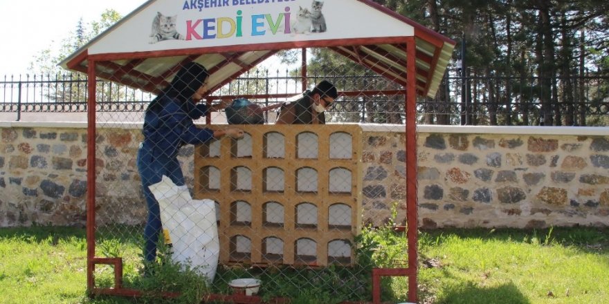 Akşehir’de sokak hayvanları unutulmuyor