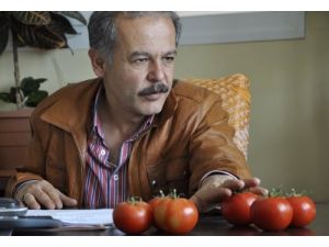 Ak Parti Fethiye İlçe Başkanlığı'na Bozyel Atandı