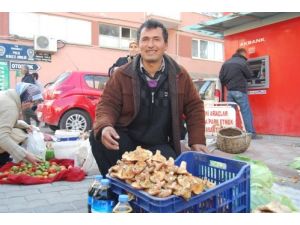 Bursa'da Havalar Kurak Gitti, Melkinin Fiyatı Fırladı