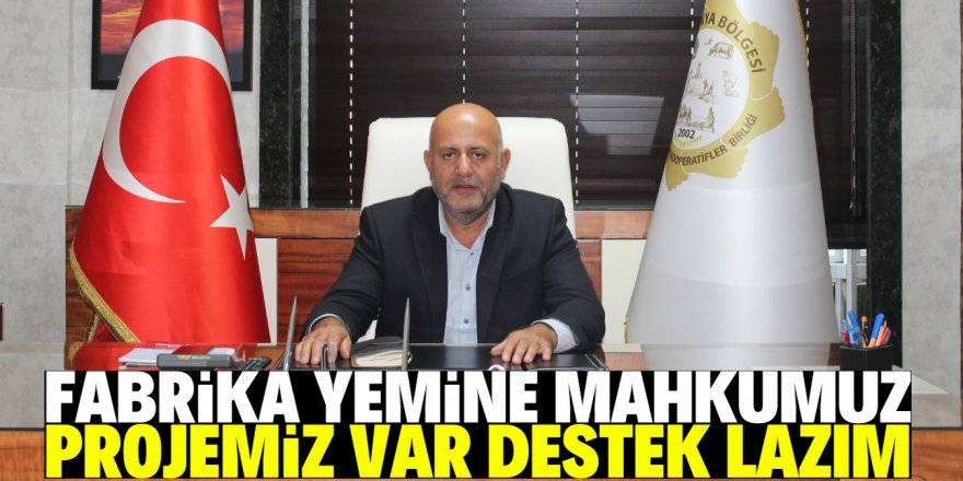 Hayvancılıkta çözüm mera ve kaba yemde