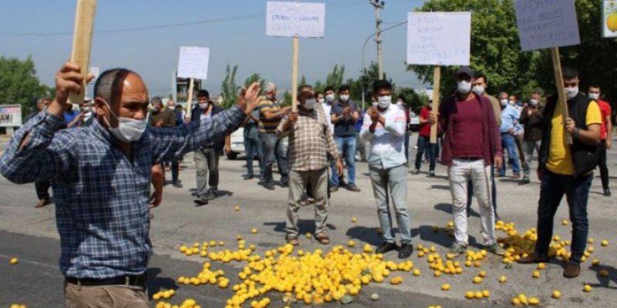 Limon üreticileri eylem yaptı: Dayanacak gücümüz kalmadı