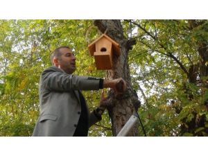 Kuşlar İçin Ağaçlara Yuva Monte Ettiler