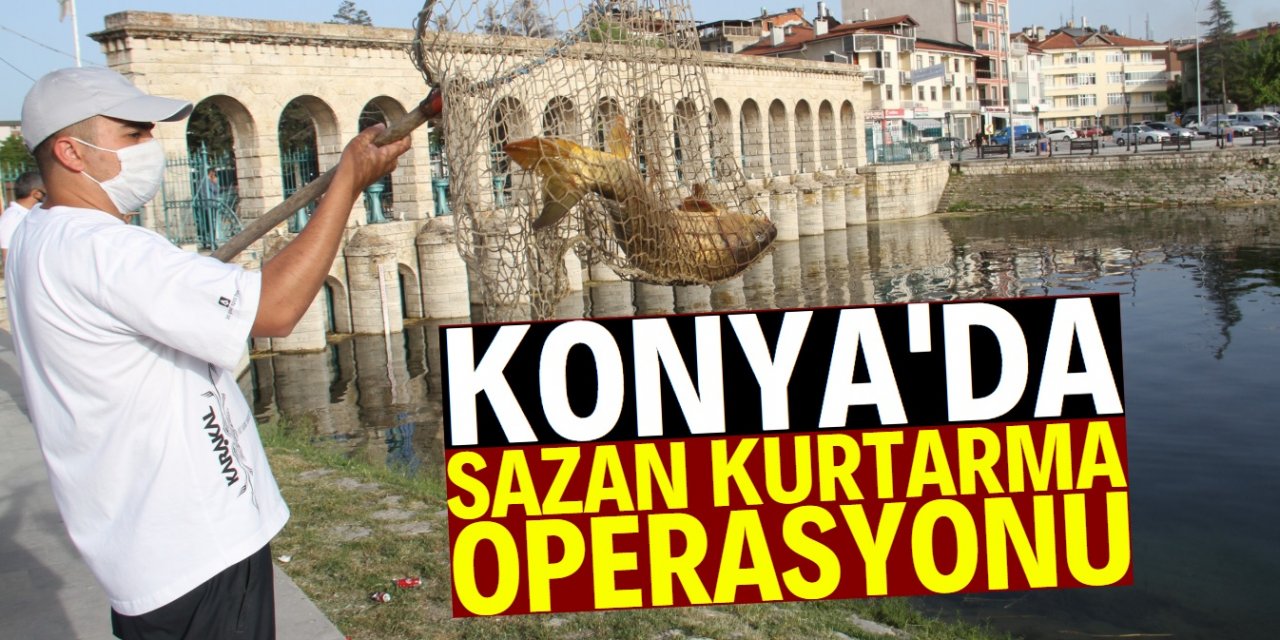 Konya'da mahsur kalan sazanları kurtarma operasyonu