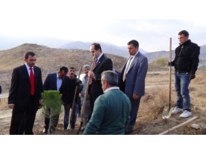 Hakkari Üniversitesi Kampüsü Yeşillendiriliyor