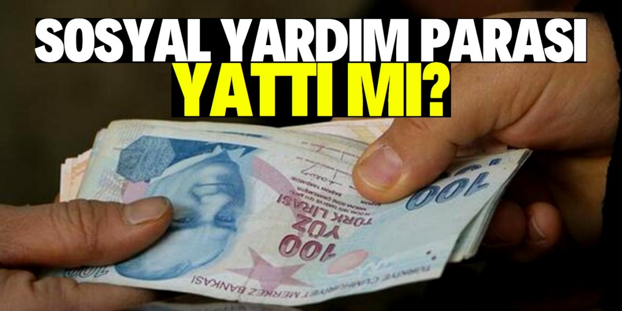 1000 TL sosyal yardım parası yattı mı? Nasıl sorgulanır?