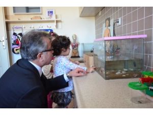 Rektör Bircan Deniz, Üniversitenin Anaokulunu Ziyaret Etti