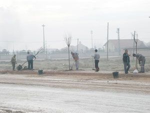 Karatay, iki caddeyi ağaçlandırdı