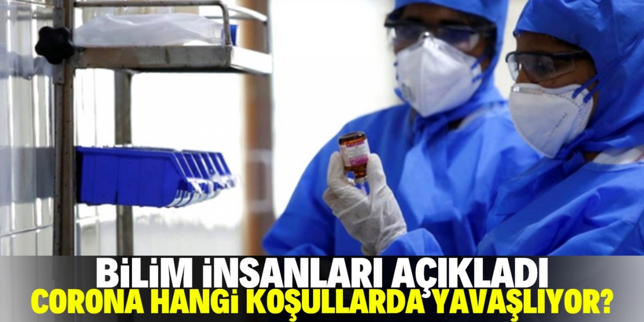 Bilim insanları açıkladı: Koronavirüsü 'yavaşlatan' koşullar bulundu!