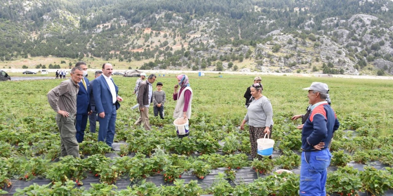 Konya Büyükşehir'den tarımsal üretime destek sözü