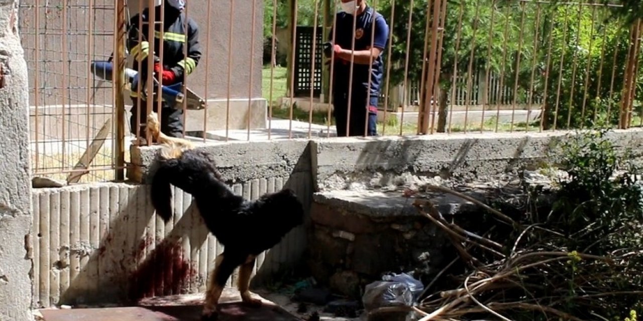 Konya'da demir korkuluğa sıkışan yaralı köpeği itfaiye kurtardı
