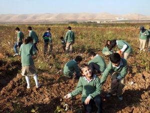Öğrenciler, Bu Sefer Eğitim İçin Pamuk Tarlasına Gitti