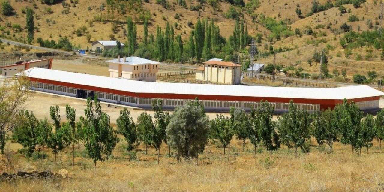 Konya'nın Hadim ilçesinde kiraz alım merkezi ihalesi yapıldı