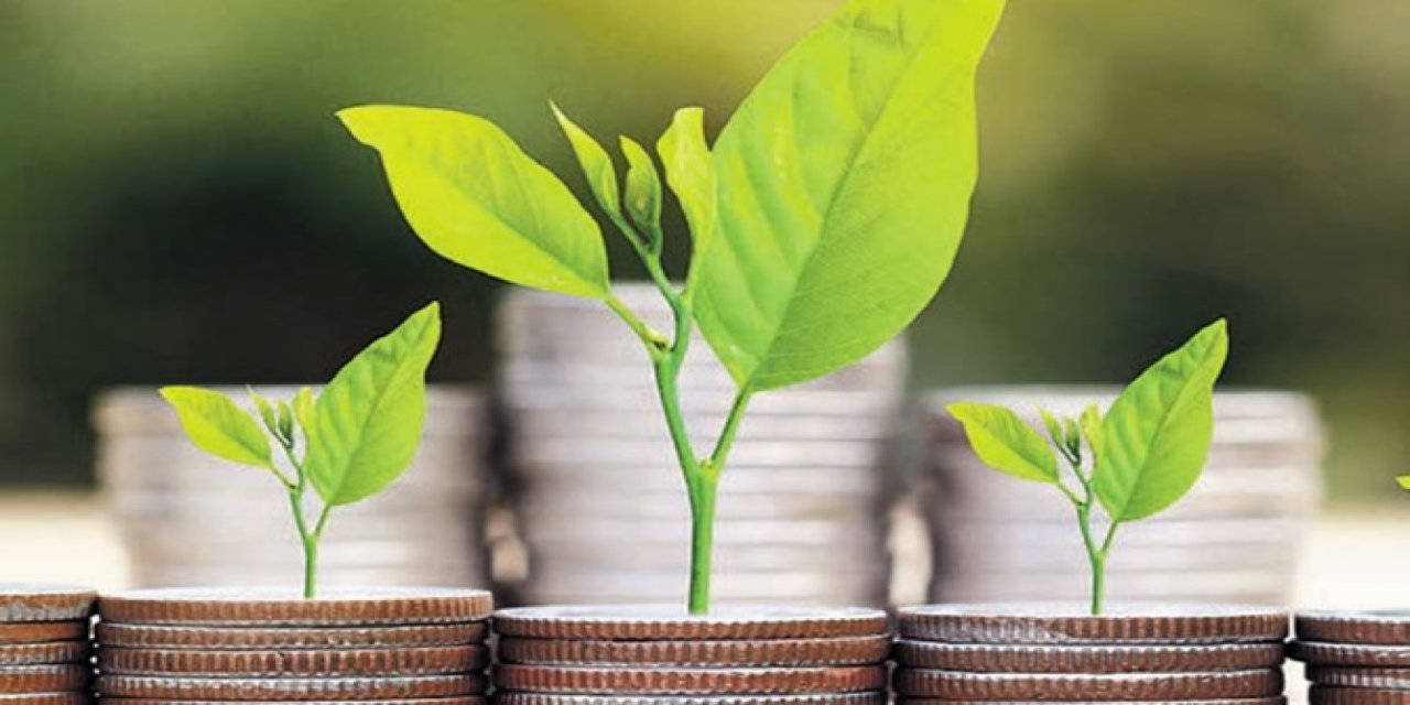 Meyve-sebze yatırımlarına ilgi arttı