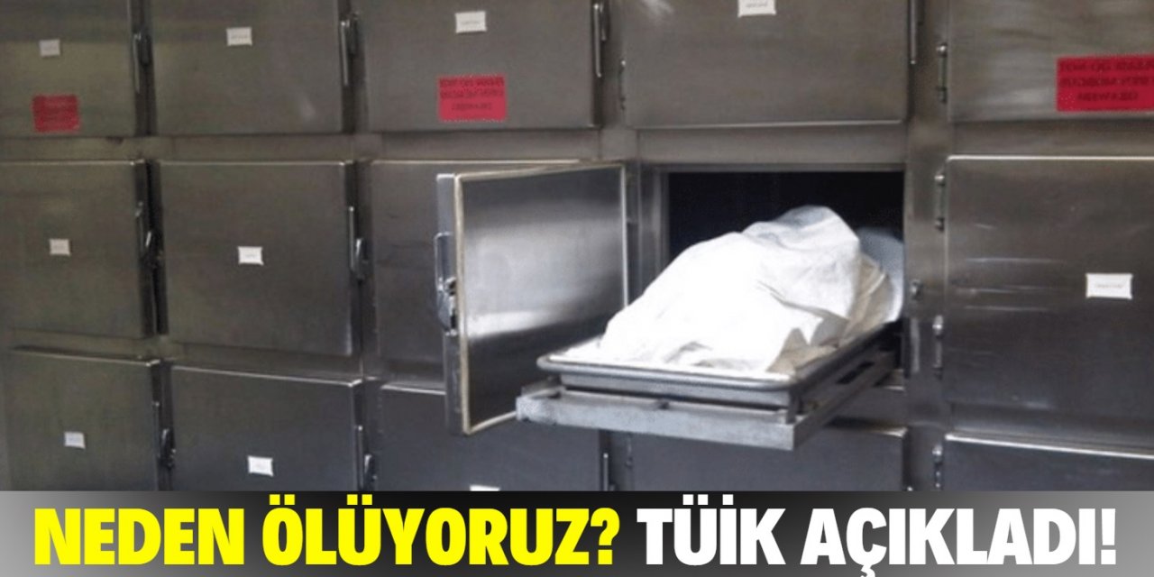 Türkiye'de insanlar en çok hangi hastalıktan ölüyor? Güncel istatistikler!