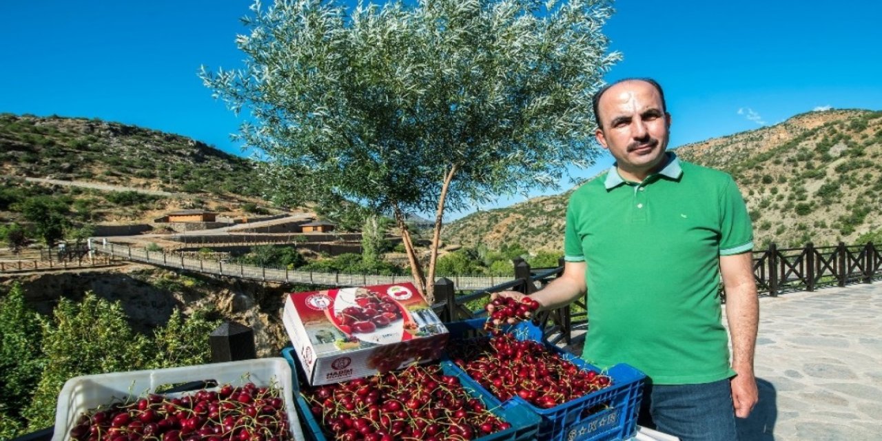 Altay: "Konya, Türkiye’nin gıda güvenliğini sağlıyor"