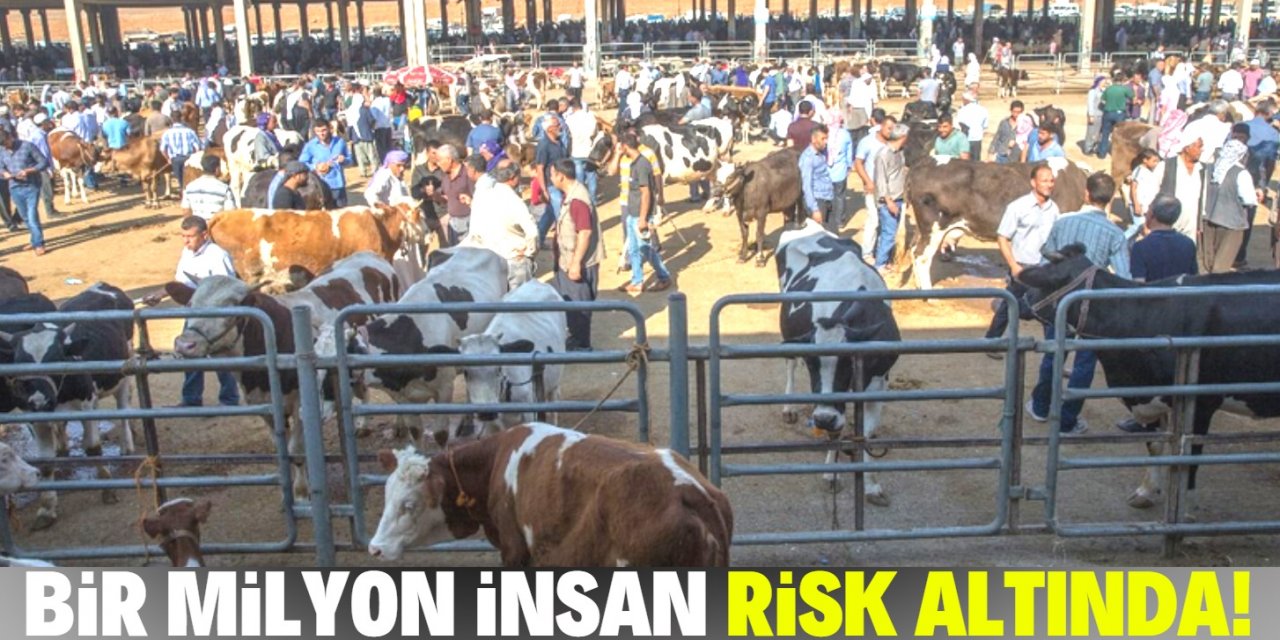 Veterinerler Kurban Bayramı için uyardı: Bir milyon kişi risk altında