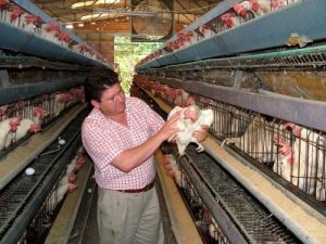 'Yumurta İnsanın İhtiyacı Olan Tüm Besin Öğelerini İçeren Tek Besin'