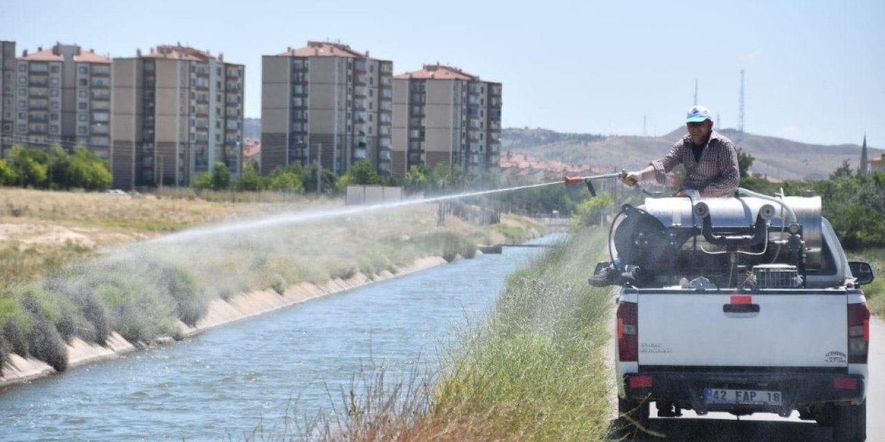 Aksaray Belediyesi larva ve haşerelere karşı ilaçlama yapıyor