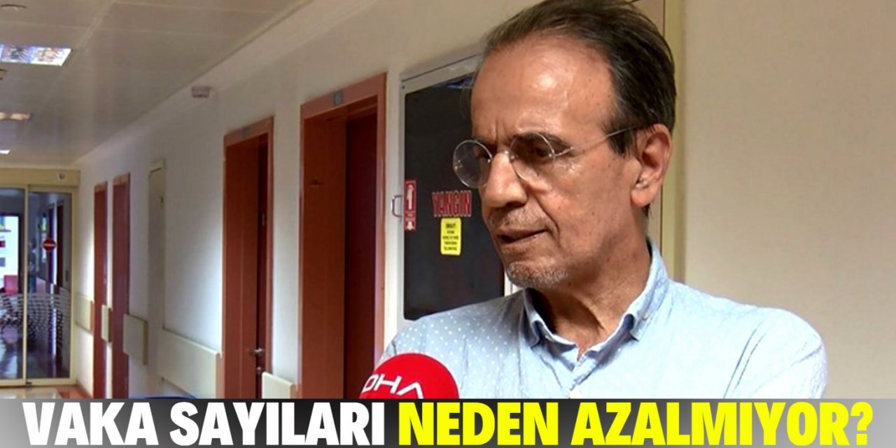 Vaka sayıları neden azalmıyor? Bu meslek grubunda olanlar...