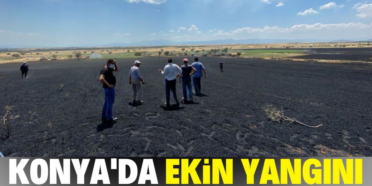 Konya'da ekin yangınında mahsuller zarar gördü