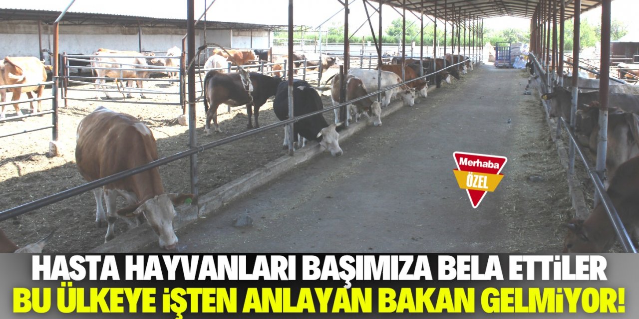 İthalat sevdası bizi perişan etti!