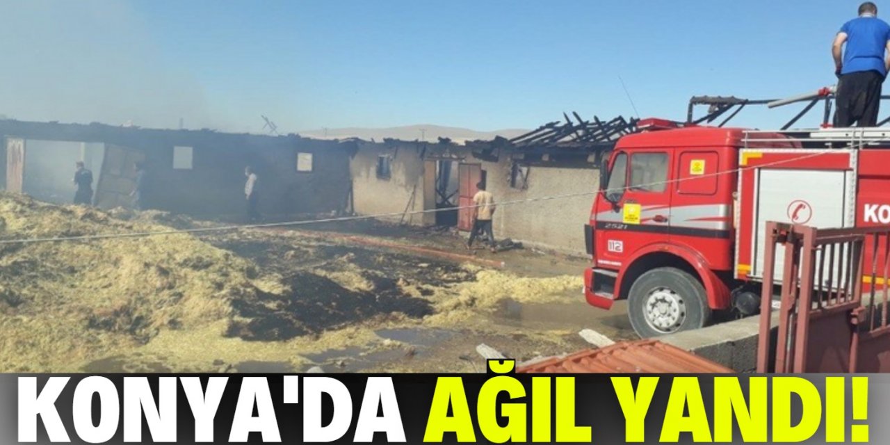 Konya'da ağıl yangını! Alevler kısa sürede etrafı sardı